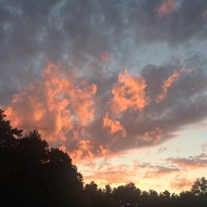 Meet your Posher, Bridge